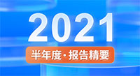 一图看懂pg电子新材2021半年度报告