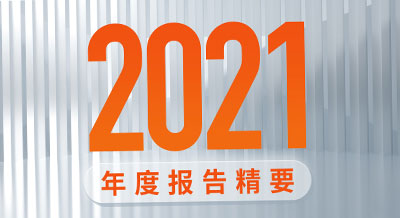 一图看懂pg电子新材2021年度报告精要