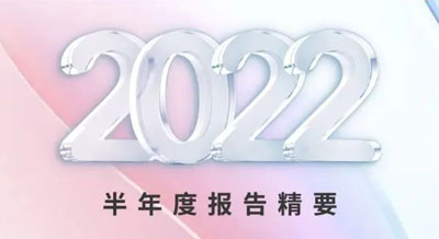 一张图看懂pg电子新材2022半年度报告