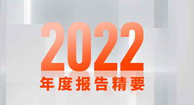 一张图看懂pg电子新材2022年度报告